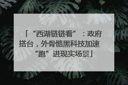 “西湖链链看”：政府搭台，外骨骼黑科技加速“跑”进现实场景