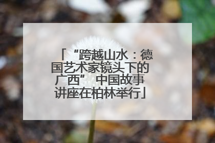 “跨越山水：德国艺术家镜头下的广西” 中国故事讲座在柏林举行