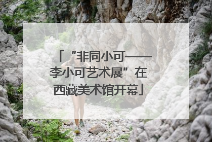 “非同小可——李小可艺术展”在西藏美术馆开幕