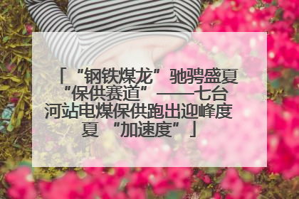 “钢铁煤龙”驰骋盛夏 “保供赛道”——七台河站电煤保供跑出迎峰度夏 “加速度”