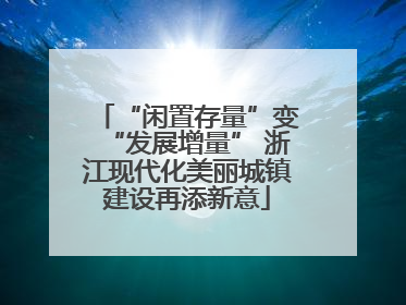“闲置存量”变“发展增量” 浙江现代化美丽城镇建设再添新意