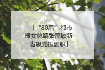 “80后”都市报女总编张晶履新省级党报副职