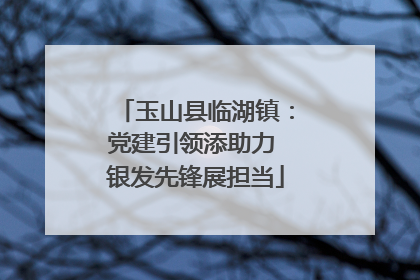玉山县临湖镇：党建引领添助力 银发先锋展担当