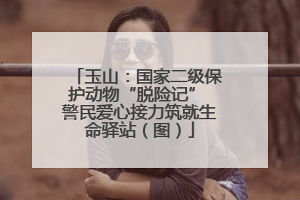 玉山：国家二级保护动物“脱险记” 警民爱心接力筑就生命驿站（图）