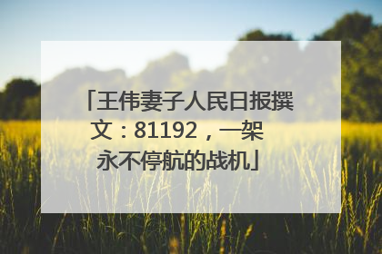 王伟妻子人民日报撰文：81192，一架永不停航的战机
