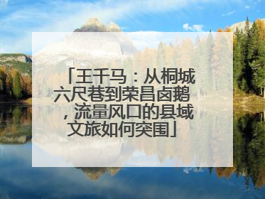王千马：从桐城六尺巷到荣昌卤鹅，流量风口的县域文旅如何突围