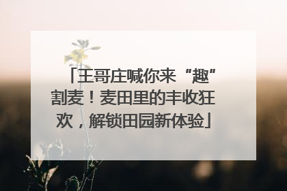 王哥庄喊你来“趣”割麦！麦田里的丰收狂欢，解锁田园新体验