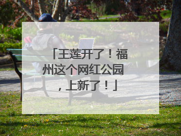 王莲开了！福州这个网红公园，上新了！