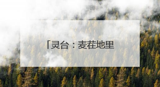 灵台：麦茬地里抢农时 奏响复种“交响曲”