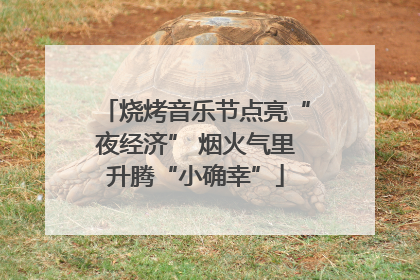 烧烤音乐节点亮“夜经济” 烟火气里升腾“小确幸”