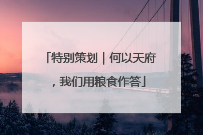特别策划｜何以天府，我们用粮食作答