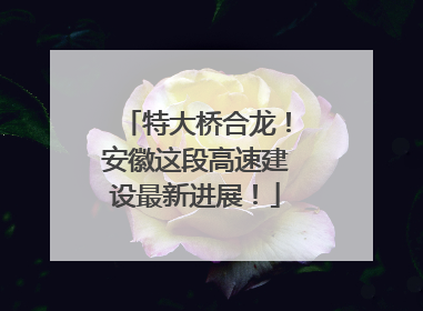 特大桥合龙！安徽这段高速建设最新进展！