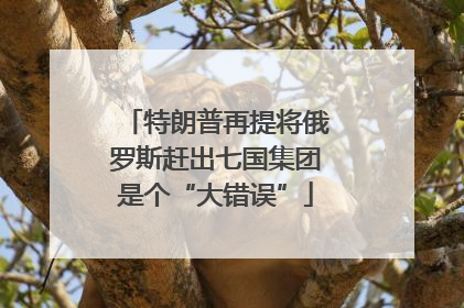 特朗普再提将俄罗斯赶出七国集团是个“大错误”