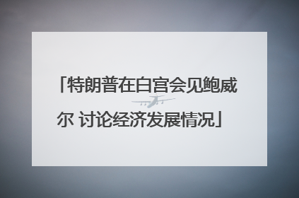 特朗普在白宫会见鲍威尔 讨论经济发展情况