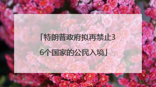 特朗普政府拟再禁止36个国家的公民入境