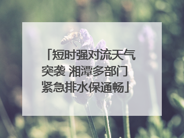 短时强对流天气突袭 湘潭多部门紧急排水保通畅