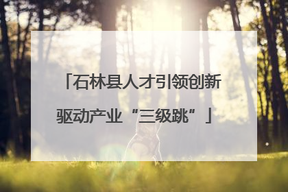 石林县人才引领创新驱动产业“三级跳”