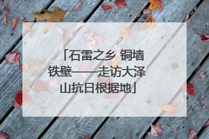 石雷之乡 铜墙铁壁——走访大泽山抗日根据地