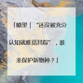 瞭望｜“还没被充分认知就难觅其踪”，谁来保护新物种？