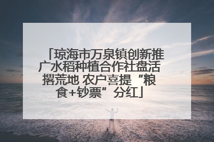 琼海市万泉镇创新推广水稻种植合作社盘活撂荒地 农户喜提“粮食+钞票”分红