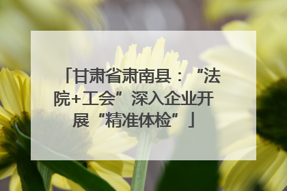 甘肃省肃南县：“法院+工会”深入企业开展“精准体检”