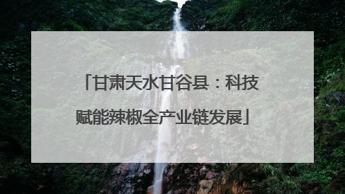甘肃天水甘谷县：科技赋能辣椒全产业链发展
