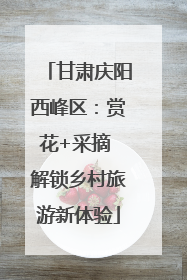 甘肃庆阳西峰区：赏花+采摘 解锁乡村旅游新体验