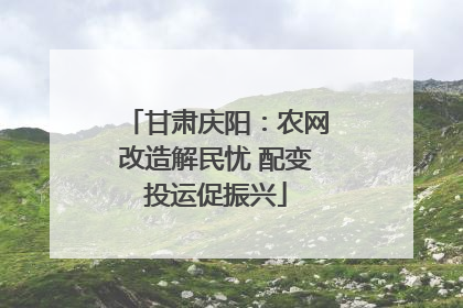 甘肃庆阳：农网改造解民忧 配变投运促振兴