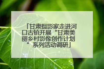 甘肃摄影家走进河口古镇开展“甘肃美丽乡村影像创作计划”系列活动调研
