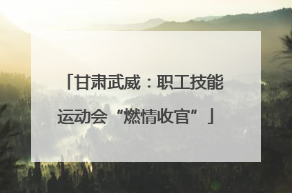 甘肃武威：职工技能运动会“燃情收官”