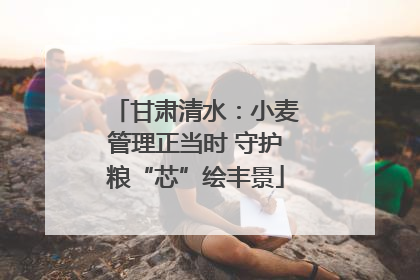 甘肃清水：小麦管理正当时 守护粮“芯”绘丰景