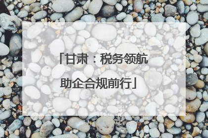 甘肃：税务领航 助企合规前行