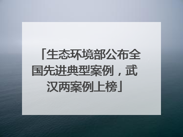 生态环境部公布全国先进典型案例，武汉两案例上榜