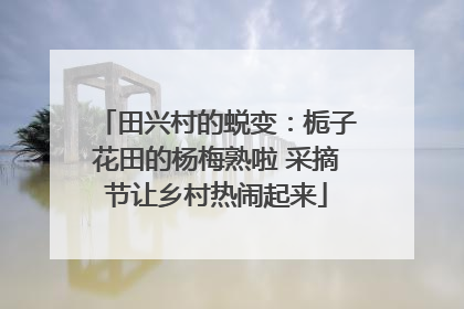 田兴村的蜕变：栀子花田的杨梅熟啦 采摘节让乡村热闹起来