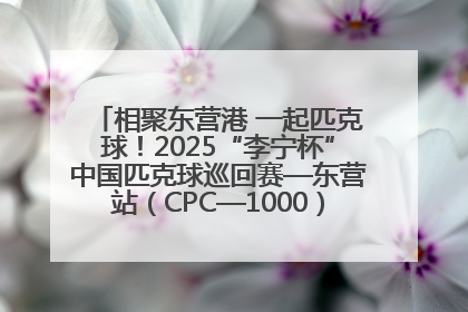 相聚东营港 一起匹克球！2025“李宁杯”中国匹克球巡回赛—东营站（CPC—1000）暨“好运山东”黄河口匹克球公开赛落幕