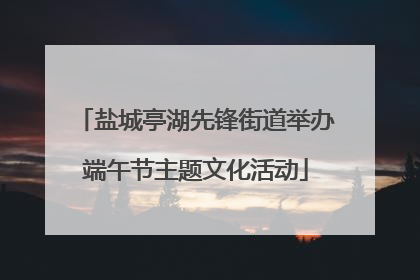 盐城亭湖先锋街道举办端午节主题文化活动