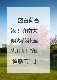 盛夏荷香浓！济南大明湖荷花率先开启“颜值暴击”