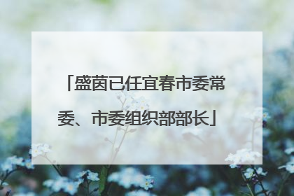 盛茵已任宜春市委常委、市委组织部部长