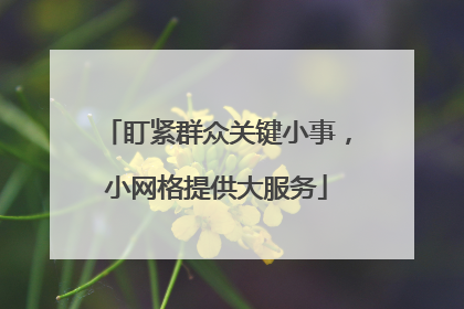 盯紧群众关键小事，小网格提供大服务