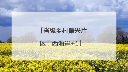 省级乡村振兴片区，西海岸+1