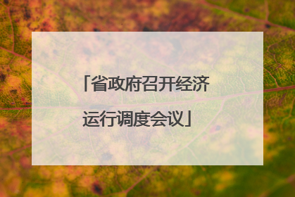 省政府召开经济运行调度会议
