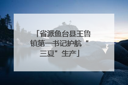 省派鱼台县王鲁镇第一书记护航“三夏”生产