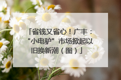 省钱又省心！广丰：“小电驴”市场掀起以旧换新潮（图）