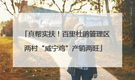 真帮实扶！百里杜鹃管理区两村“威宁鸡”产销两旺