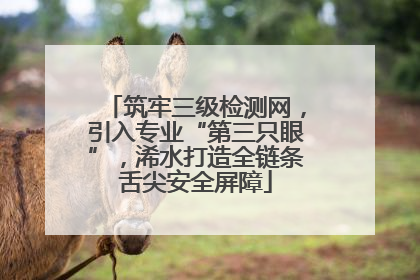 筑牢三级检测网，引入专业“第三只眼”，浠水打造全链条舌尖安全屏障