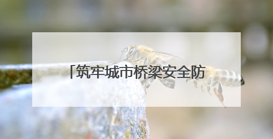 筑牢城市桥梁安全防线 德州完成143座桥梁“深度体检”