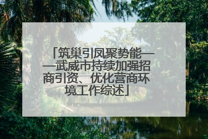 筑巢引凤聚势能——武威市持续加强招商引资、优化营商环境工作综述