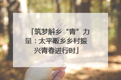 筑梦斛乡“青”力量：太平畈乡乡村振兴青春进行时