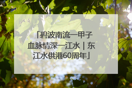 碧波南流一甲子 血脉情深一江水｜东江水供港60周年