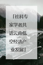 社科专家学者共话云南低空经济产业发展